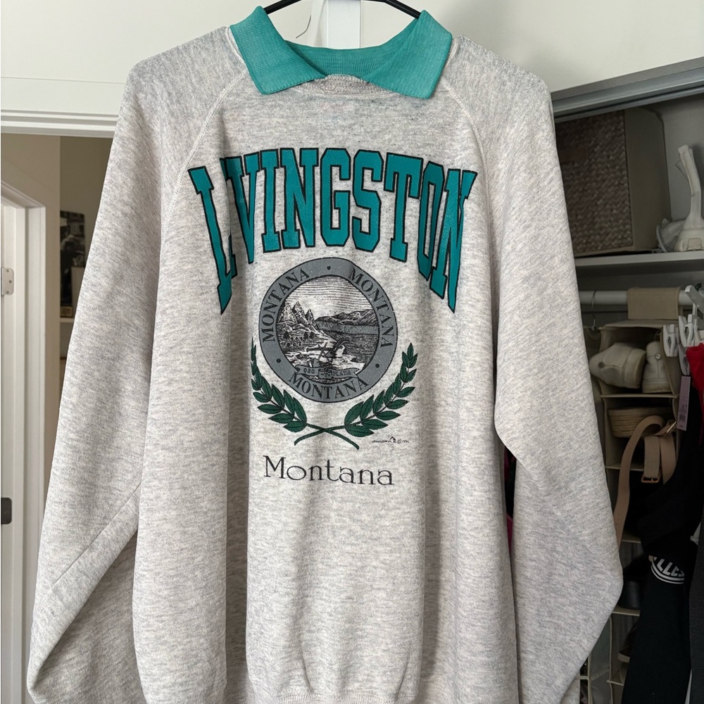 Hanes Gray and Teal Crewneck Sweater